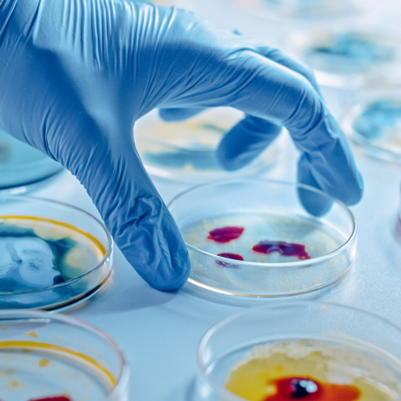 מחלות ללא גבולות: נגיף הקורונה ממשיך להשתנות