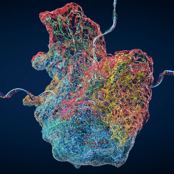الطّفرة الصّامتة ما قبل العاصفة