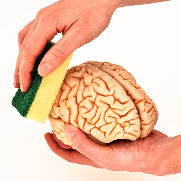 من لديه عنوان IP؟ غسيل الدماغ 78