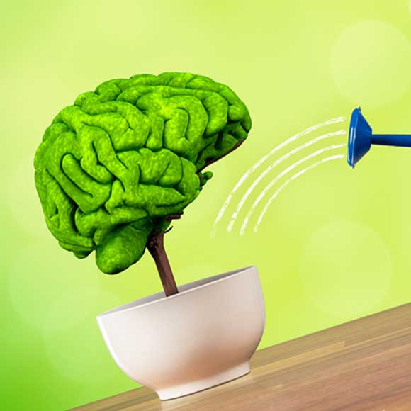 Brainwash – What is a Grouper?