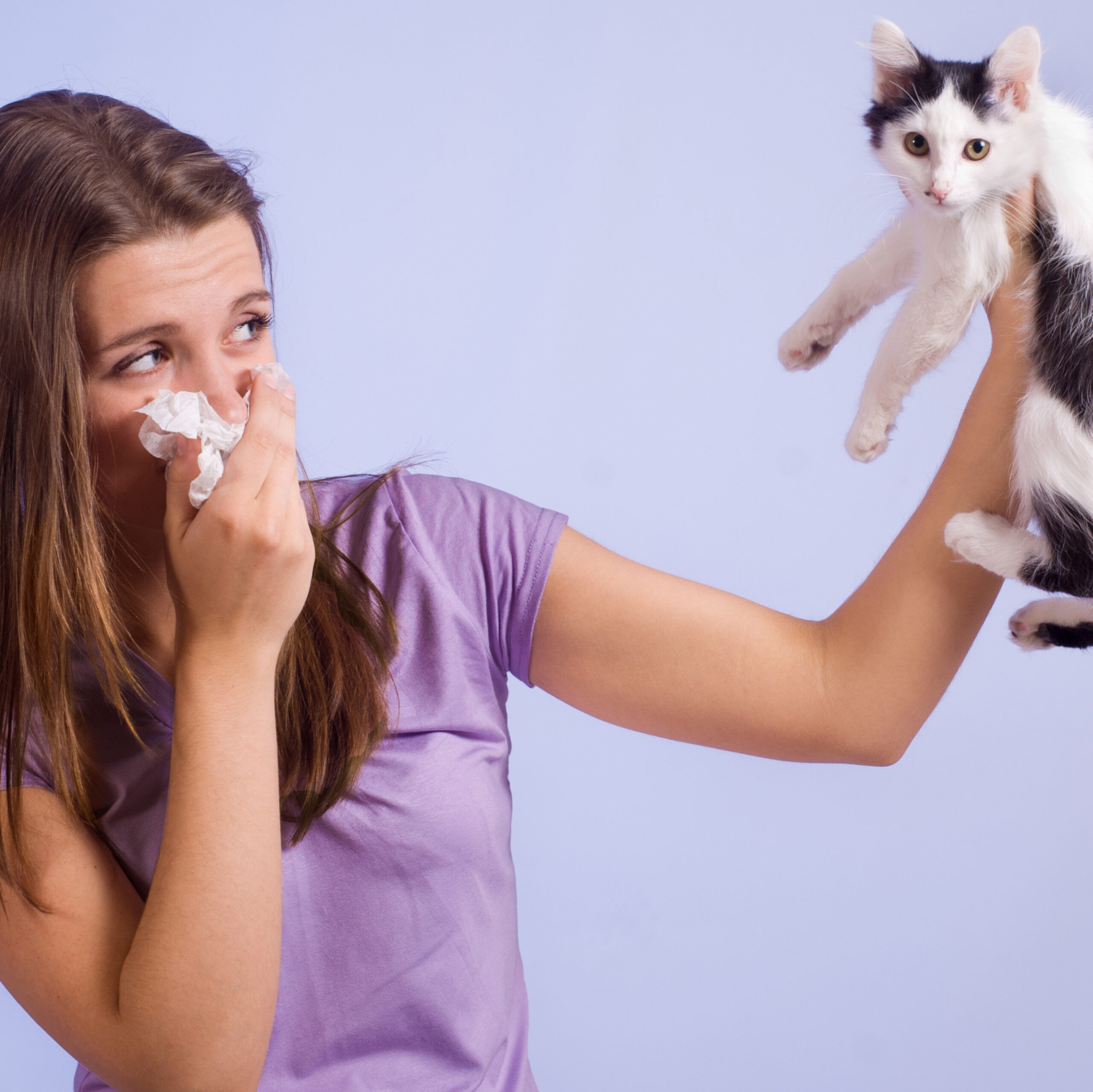 The Basics Behind Cat Allergies