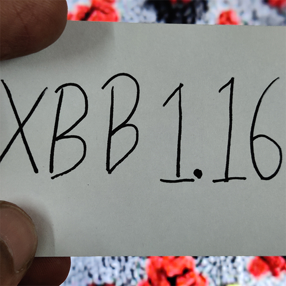 וריאט קורונה חדש: מחלות ללא גבולות