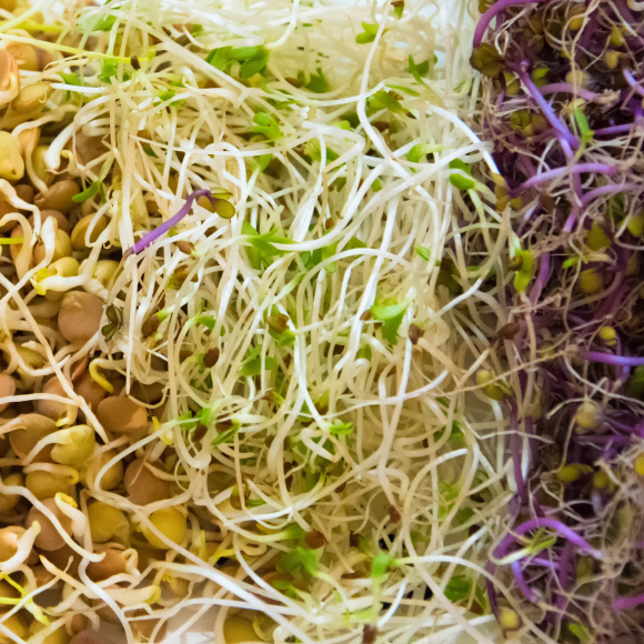 Is Germinated Food More Nutritious?