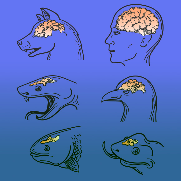 أهلٌ مجتهدون – نسلٌ ذكيّ؟