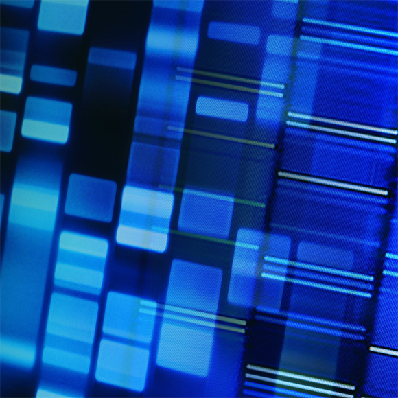 الأعباء الجينيّة التّي ورثناها عن والدِينا