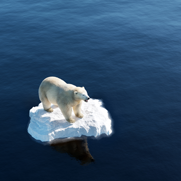 Record Breaking Summer – What’s Up With The Environment?