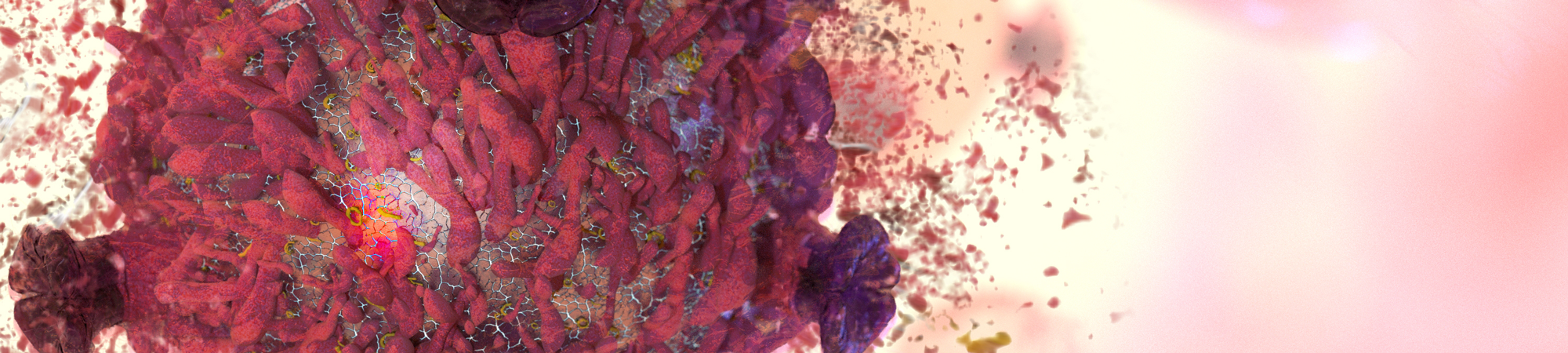 “الانتحار” الخلويّ ونهاية الطريق