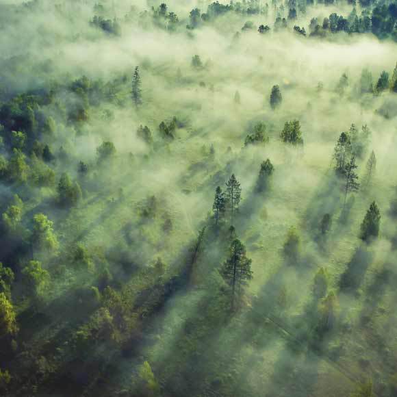 Limited Vision: Understanding Fog, Haze, and Smog