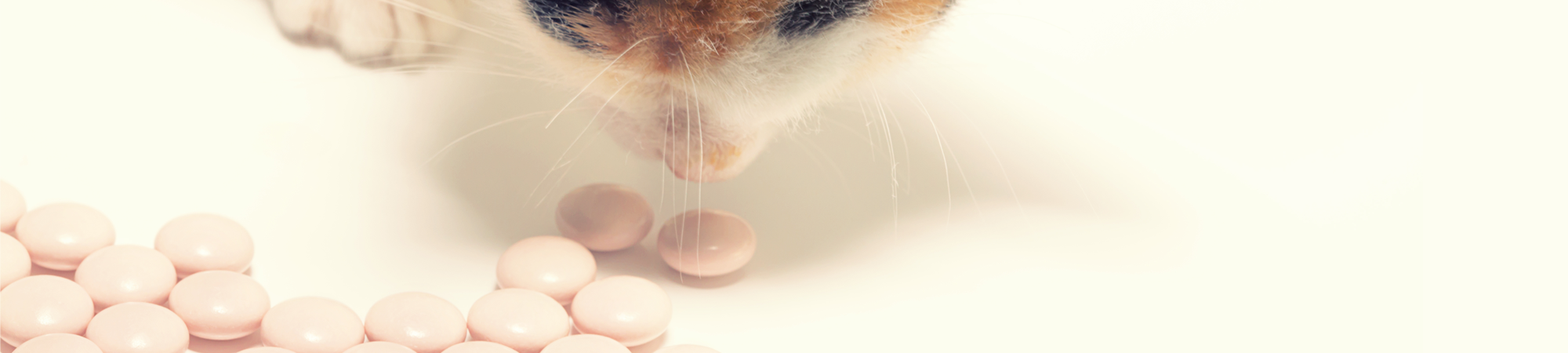 תעלומת הפלצבו בממלכת החיות