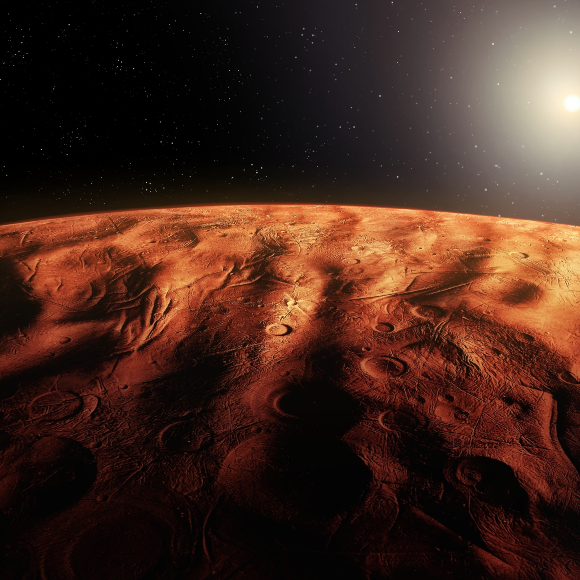 Embryonic Development in Zero Gravity: This Week in Space