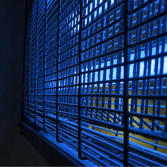 الهدف: تفادي اللدغ