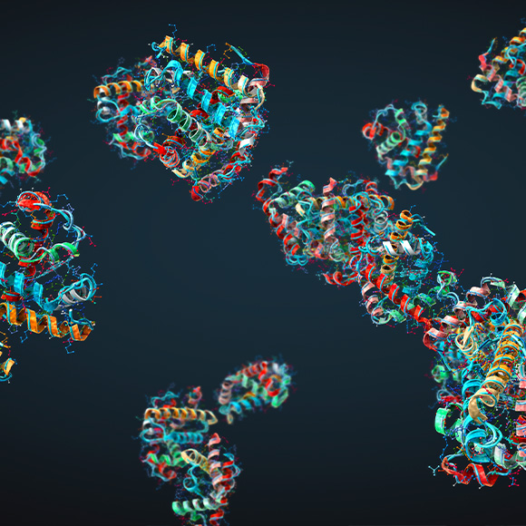 الأوريغامي المعقَّد للبروتينات
