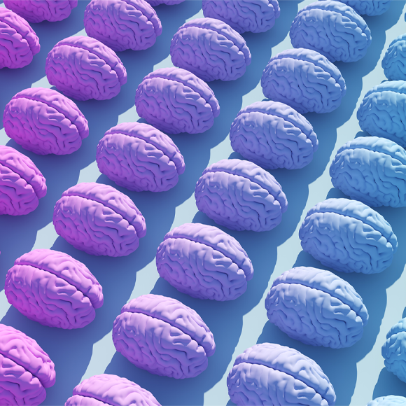 Female vs. Male Brain – Gender Gap in Brain Health & Research