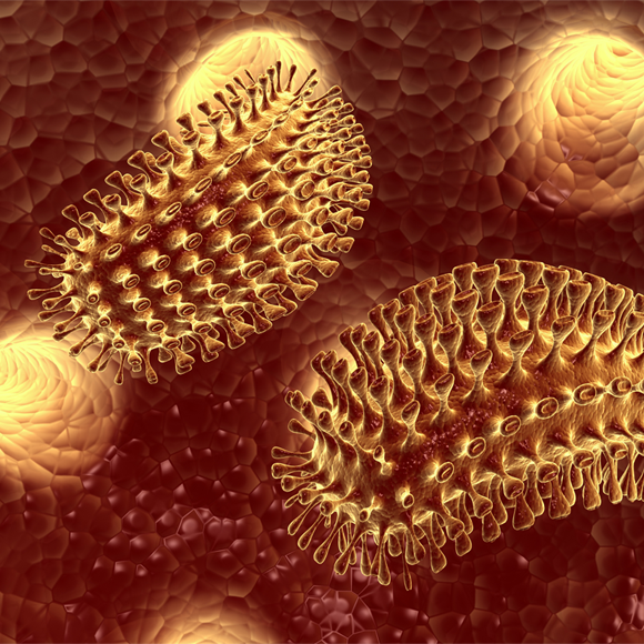 מחלות ללא גבולות: כלבת וחצבת