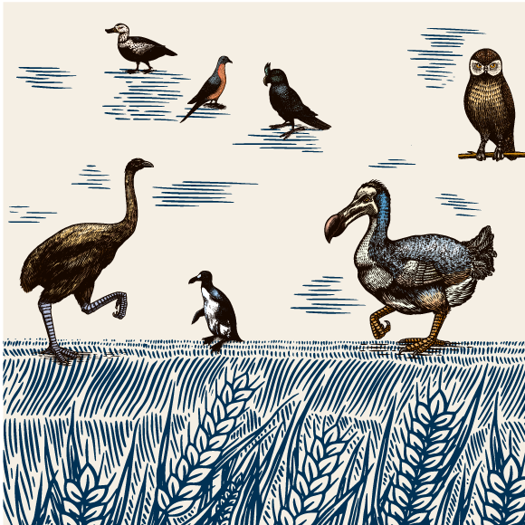 الوضع المُقلِق الّذي آلت إليه الطّبيعة: ماذا يحدث في بيئتنا؟