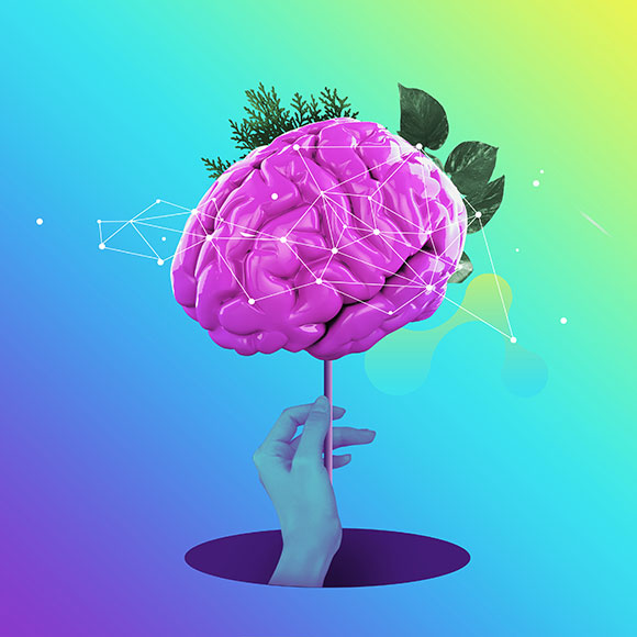 מה זה פרצטמול? שטיפת מוח 338