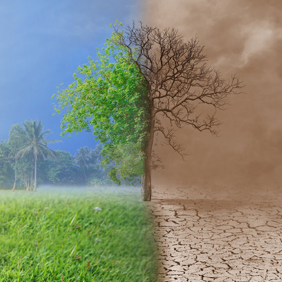 Burying Carbon in the Sea: An Emerging Solution