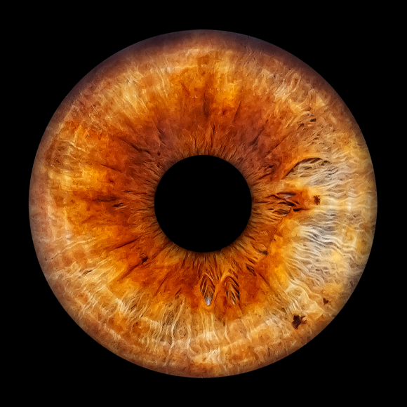 العين بالعين