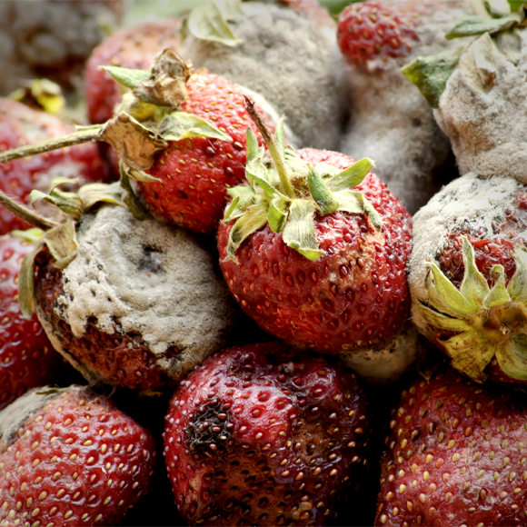 عن الشعور بالقرف والاشمئزاز