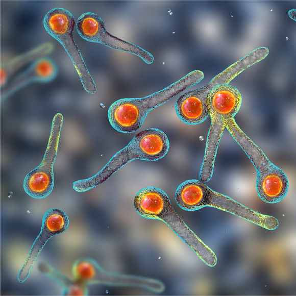 أمراضٌ بلا حدود: يقع الأطفال ضحايا لأمراضٍ يمكن تغاضيها باللّقاحات الوقائيّة