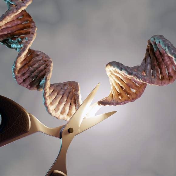 حقنة واحدة نحو التعافي