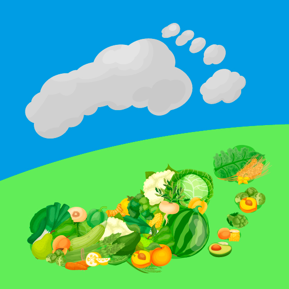 هل للطّعام بصمةٌ كما للإنسان؟