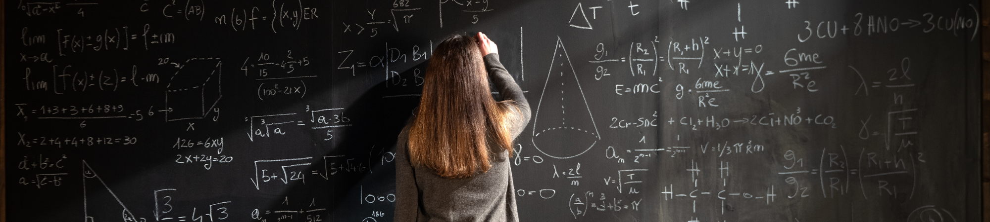 זוכרים את המתכנתת הראשונה