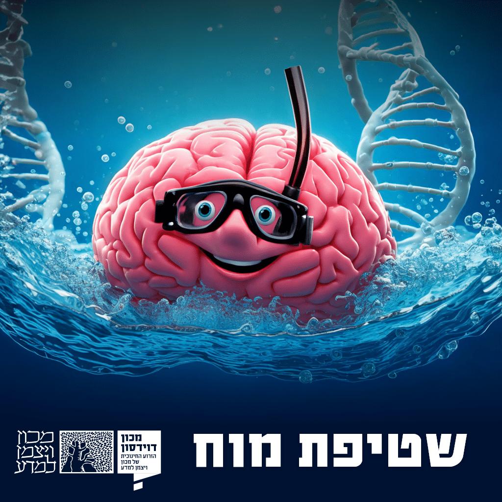 מה זה טלק? שטיפת מוח 376