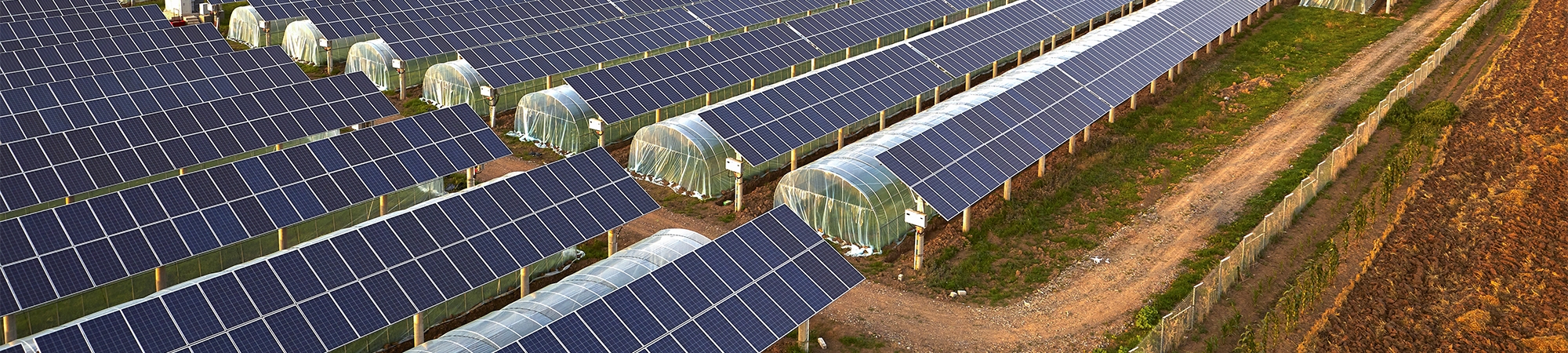 إنتاج غذاء من الهواء