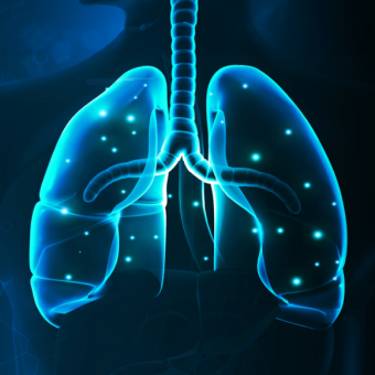 Cells That Cure the Lungs