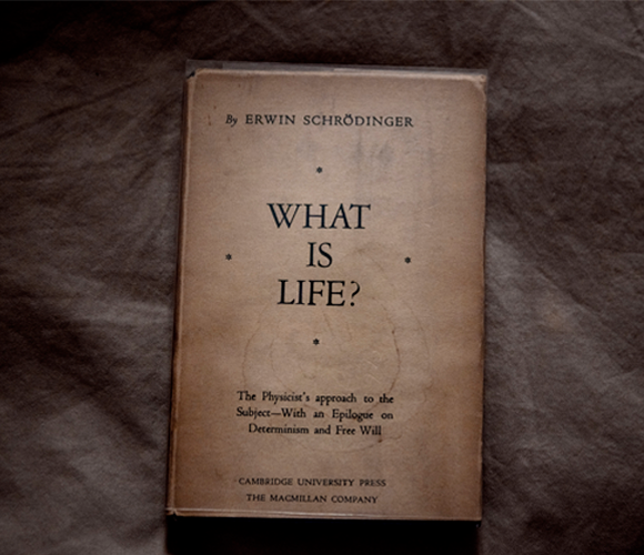 חיבור אישי ומנומק המותאם לשעתו ולמחברו – מסה שהיא אלומה של רעיונות השזורים ביד אמן. מהדורת 1946 של הספר | flickr, Dan Nguyen