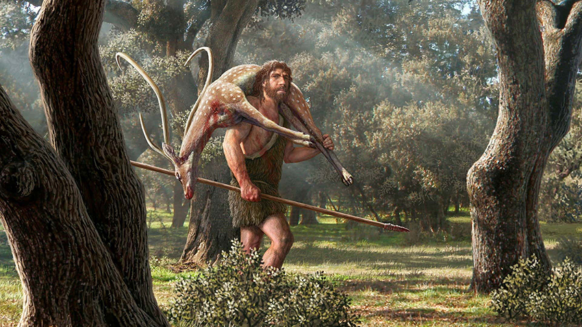 חוקרים הראו שניאנדרטלים, וגם אבותינו מהמין הומו ספיינס, אכלו הרבה בשר. ניאנדרטל נושא אייל שאותו צד | Mauricio Anton / Science Photo Library