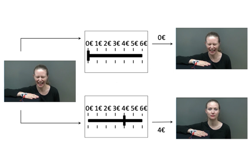 בזמן שהפעילות המוחית שלהן נסרקת, הנבדקות צפו במשתתפת-מתחזה מקבלת מכות חשמל כואבות. אז הוצע להן לתרום חלק משכרן: ככל שיתרמו יותר, המשתתפת השנייה תסבול פחות. אם לא יתרמו דבר, עוצמת ההתחשמלות בסבב הבא לא תשתנה | מתוך Chen et al., 2024