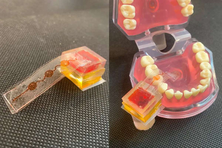 ממשק שחרור הטעמים בנוי מרכיב מכני ובו מעין משאבה זעירה, שמופעלת בגירוי חשמלי ובתגובה לו מזריקה מעט כימיקלים. רכיב ייצור ושחרור הטעמים במערכת e-Taste לצד דגם של פה | מתוך Chen et al., 2025