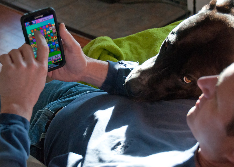 מאחורי החלון הקופץ עומדת מערכת משומנת היטב של מניפולציות פסיכולוגיות, אלגוריתמים לומדים והנדסת התנהגות. אדם וכלבו משחקים בקנדי קראש | Martha T, flickr