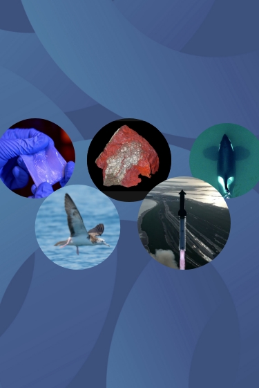 המחקרים החדשים ביותר: מהנשמדע 30/8/2025