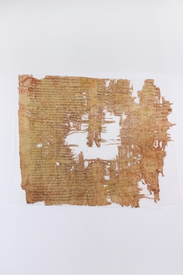 הפפירוס המושחת