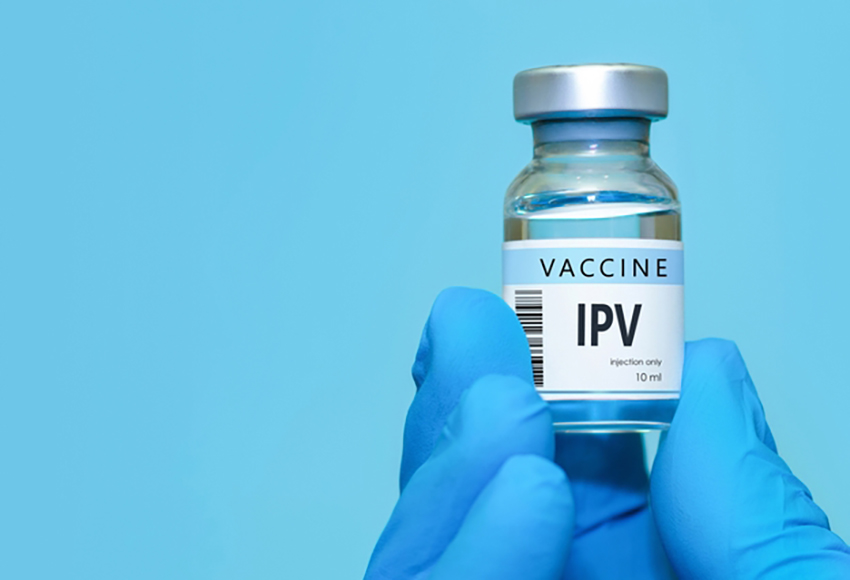 החיסון המומת, IPV, הוא חלק משגרת החיסונים וכלול בחיסון המחומש הניתן לתינוקות במספר מנות עד גיל שנה ובחיסון המרובע הניתן בכיתה ב'. בקבוקון עם חיסון נגד פוליו | StanislavSukhin, Shutterstock