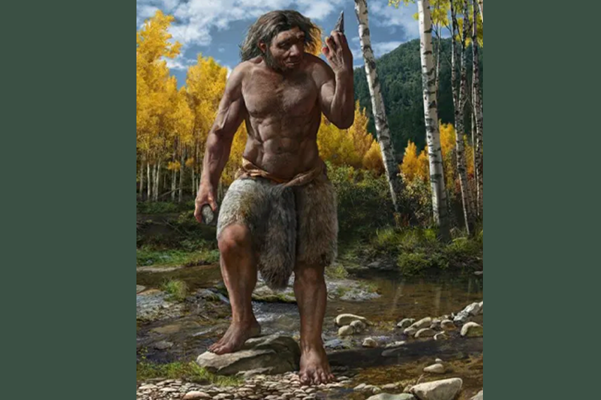 כמו הניאנדרטלים, גם הדניסובים העמידו צאצאים עם אבותינו. כך נראה אדם דניסובי בעיני אמן | איור: Chuang Zhao