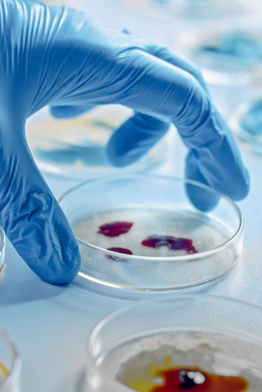 מחלות ללא גבולות: ימי עידוד התחסנות נגד חצבת