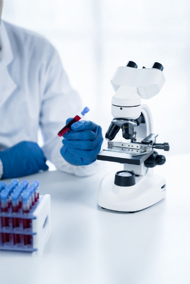 מחלות ללא גבולות: חצבת כאן, אבולה ודבר מעבר לים