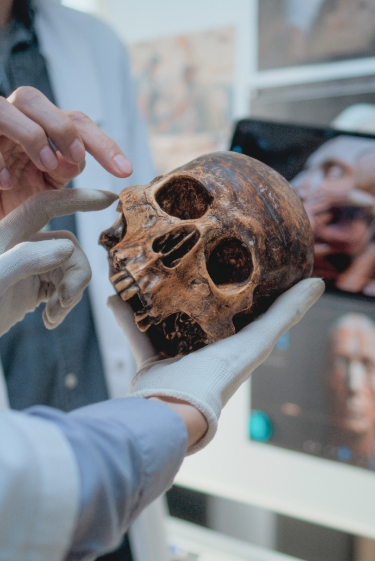 הגן שעבר מדניסובי, לניאנדרטל, לאדם המודרני