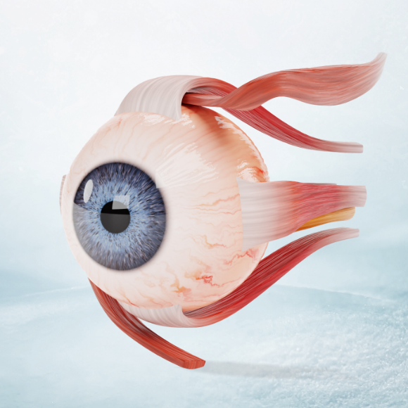 رغم نجاح عمليّة الزّراعة، لم يستعِد المريضُ بصَرَه