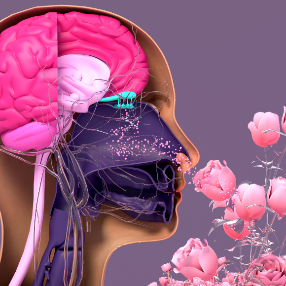 العلاج بالبكتيريا عن طريق الأنف