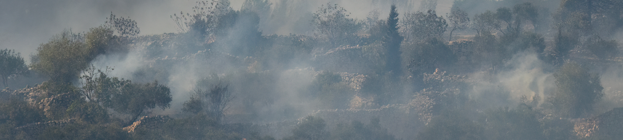 A Climate of Wildfires