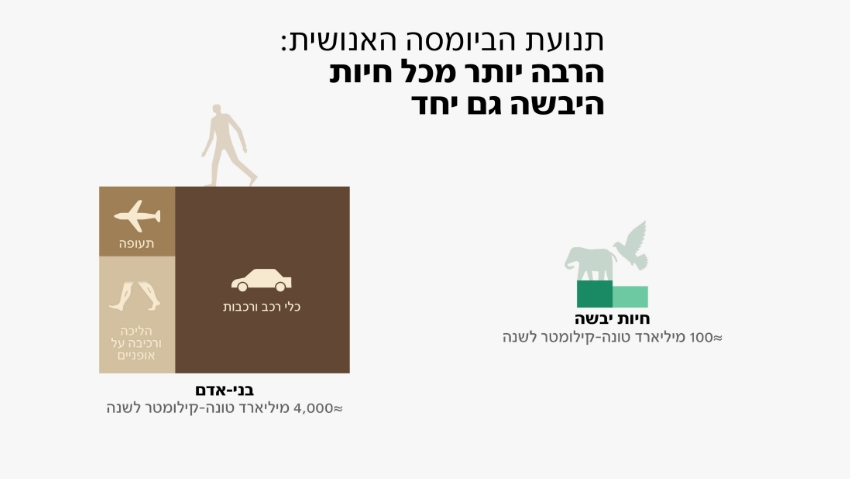 תנועת הביומסה של בני האדם מגמדת את תנועתם של בעלי החיים האחרים. תנועת הביומסה של של חיות היבשה מול בני האדם | מתוך Rosenberg, Y., Wiedenhofer, D., Virág, D. et al., Nat Ecol Evol (2025)