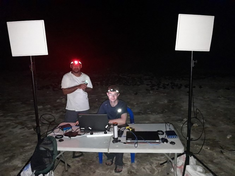 החוקרים משערים שהעטלפים מרכיבים במוחם מפה של האי. אולנובסקי ופלגי מנטרים את העטלפים באי | נחום אולנובסקי