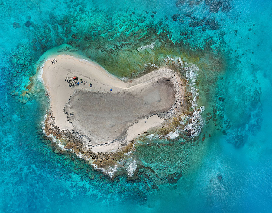 העבירו עטלפים לאי בודד קטן, ושם בחנו את התאים במוחם שאחראים על כיוון הראש. האי בצילום מהאוויר | ליאורה לס, שקד פלגי