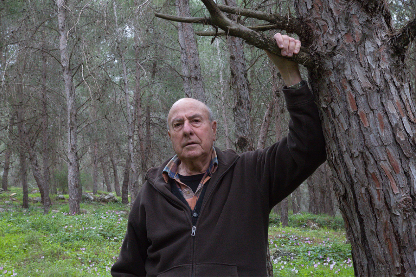 "הייתי רועה עם משקפת ועם מגדיר צמחים". פז ביער המגינים |  אורי רוזנברג