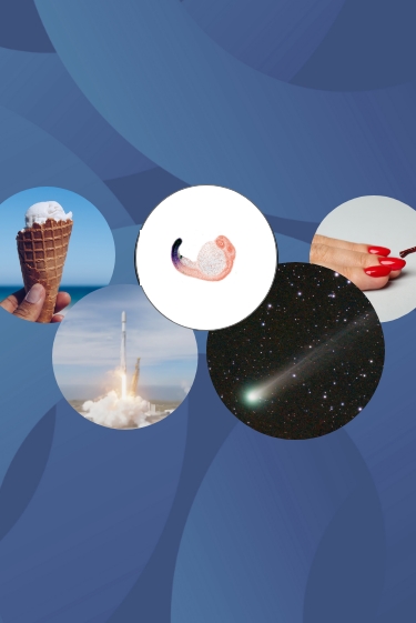 המחקרים החדשים ביותר: מהנשמדע 25/10/2025